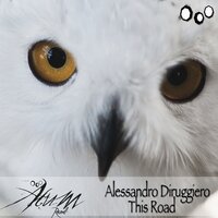 Just The Way - Alessandro Diruggiero