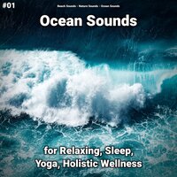 Ocean Sounds Pt. 56 - Beach Sounds & Nature Sounds & Ocean Sounds