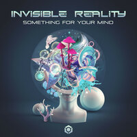 Something for Your Mind - Invisible Reality
