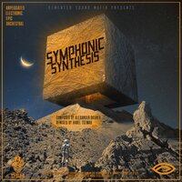Infinity - Demented Sound Mafia