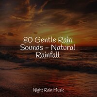 Waves by the Beach - Wellness & Rain Forest FX & Water Sounds for Sleep