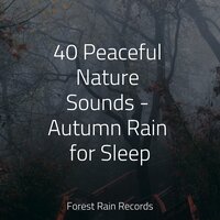 Playful River - Baby Sleep Music & Rain Forest FX & Tibetan Singing Bowls for Relaxation