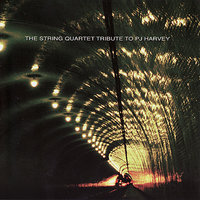 Down By the Water - Vitamin String Quartet