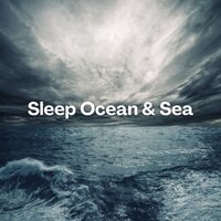 The Shoreline - Sea Sounds Channel
