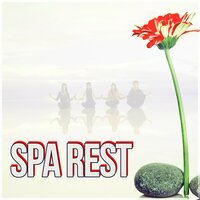 Instrumental Sounds - Paradise Spa Music Academy