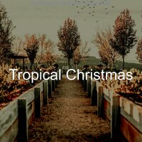 (We Three Kings) Christmas at the Beach - Tropical Christmas