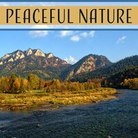 Nature Escape - Nature Sounds Paradise