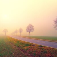Whistling Trees - Sleep Tight & Soothing Nature Sounds & Baby Sleep Music