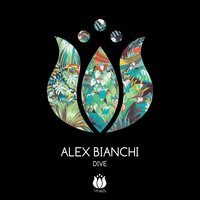 Dive - Alex Bianchi