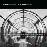 Schubert: Symphony No. 8 in B-Minor, D. 759 "Unfinished": II. Andante con moto - Jan Tomasz Adamus & Capella Cracoviensis & Франц Шуберт