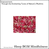 Brainwaves Whispering Astral Secrets - Sleep BGM Mindfulness