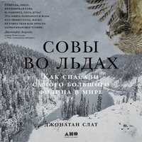 Джонатан Слат. «Совы во льдах: Как спасали самого большого филина в мире». Часть 3 - Владимир Капитонов