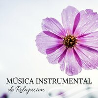 Relajación Del Balneario - Musica para Acostarse