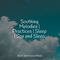 Waking Sounds - The Sleep Specialist & Musica Reiki & Meditação Maestro