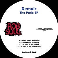 No Slave To Your Opinion - Demuir