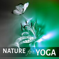 Mindfulness Meditation - In Yoga Academy