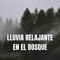 Tormentas de Lluvia - Lluvia Relajante