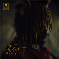 Black Qualls - Thundercat & Steve Lacy & Steve Arrington & Childish Gambino