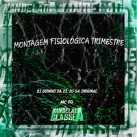Montagem Fisiológica Trimestre - DJ Guinho da ZS & DJ G4 ORIGINAL & MC FG
