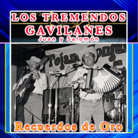 Seis Pies Abajo - Los Tremendos Gavilanes Juan Y Salomon & Los Donneños