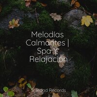 Noche Estrellada Nocturna - Relajantes sonidos de lluvia & Mantra para Dormir & Musica relajante