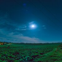 Extraterrestrial Spectrum - Locus