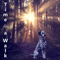 Pet Care - Quiet Music Oasis