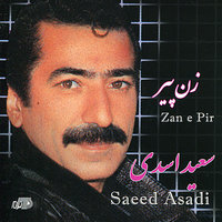 Zane Peer - Saeed Asadi