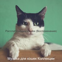 Созерцая (Милые кошки) - Музыка для кошек Коллекции