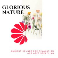 Feeling Of Bliss - Spa Zen Melodies & Spa Music Paradise