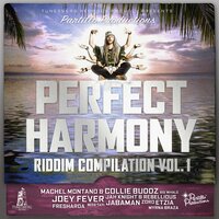 Fly Away - Machel Montano & Collie Buddz