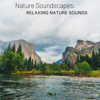 Mantra of Nature Calmness - The Outdoor Library & Brain Timbre & Amazing Spa Experience