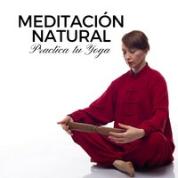 Manejo Del Estré - Zen Powder