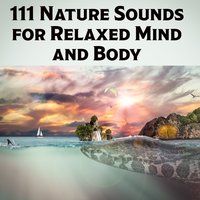 Nice Forest Trip - Relaxing Music Pro Effects Unlimited