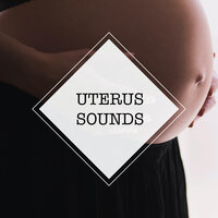 Heartbeat Sound for Babies (Loopable, No Fade) - Uterus Sounds & Tinnitus & Big Sounds
