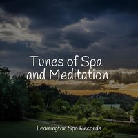 Calm Down - Relaxing Rain Sounds & White Noise Sound Garden & Tranquility Spa Universe