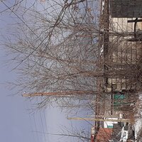 У.д.п - Vintech & Тимонин ННК & Дэкарб