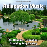 Relaxing Music to Study To - Relaxing music & Meditation Music & Yoga