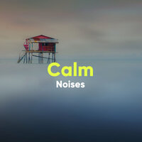 Brainwaves Within - Sleeping Music Zone