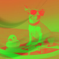 Background for Relaxing Your Dog - Dog Music Experience