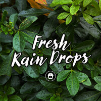 Nature & Coffee - Nature Sounds Nature Music