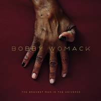 Dayglo Reflection - Bobby Womack & Lana Del Rey