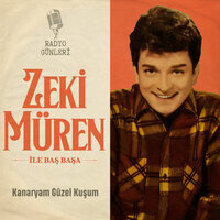 Hastayım Yaşıyorum - Zeki Müren