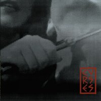 Together In The Dark - Curses