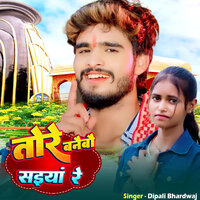 Tore Banaybau Saiya Re - Dipali Bhardwaj