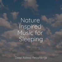 Woodwind Relaxations - Relaxing music & Yoga Music & Alpha Brain Waves