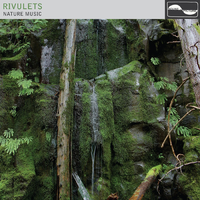 Rivulet 3 - Nature Music