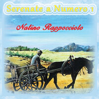 Stella serena - Natino Rappocciolo