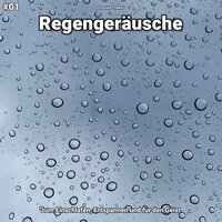 Regengeräusche, pt. 43 - Torwald Cheken