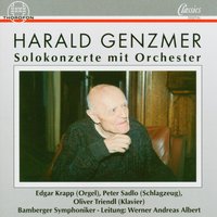 Konzert für Schlagzeug und Orchester: I. Molto lento - Allegro - Bamberger Symphoniker & Werner Andreas Albert